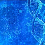 Elevate Your Brun Game Crea Idea for a Memorable Morning Meal