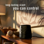 How to Create a Calm and Balanced Home Environment